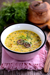 Cheese soup with mushrooms, carrots, leeks, cream and dill.