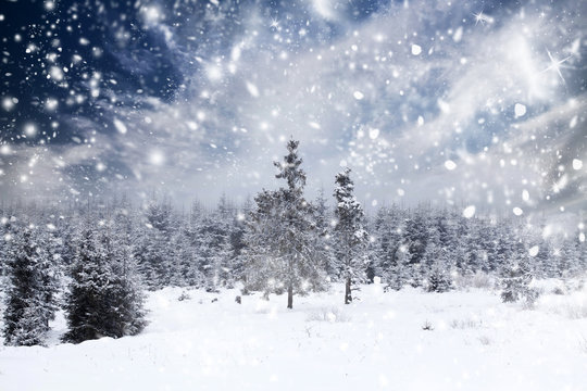 Fototapeta Snowfall in the mountains