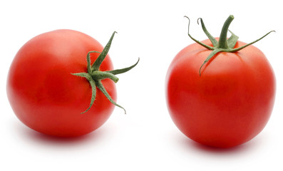Fresh organic tomato