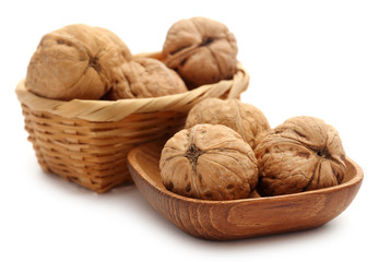 Walnut