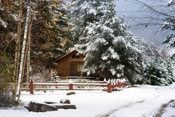 house among the fir trees in winter