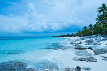 Sea landscape - tropical beach (Saona Island, Dominican Republic).