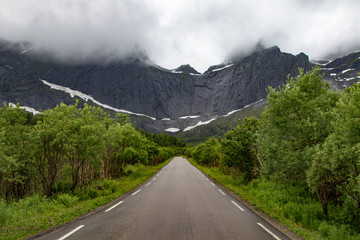 scenic road Lofoten