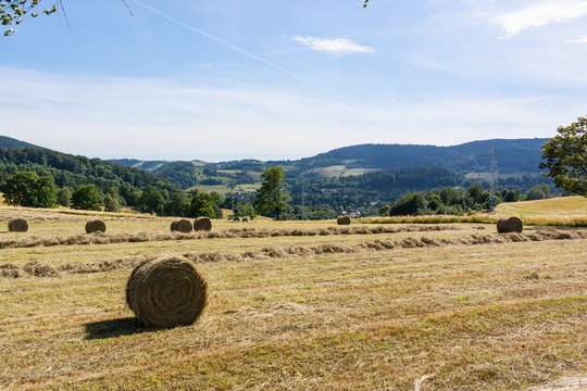 Skoszona laka