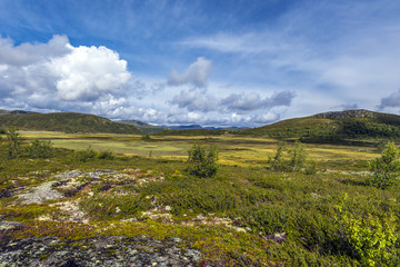 Fototapeta na wymiar Norwegian landscape close to Beitostølen, Norway
