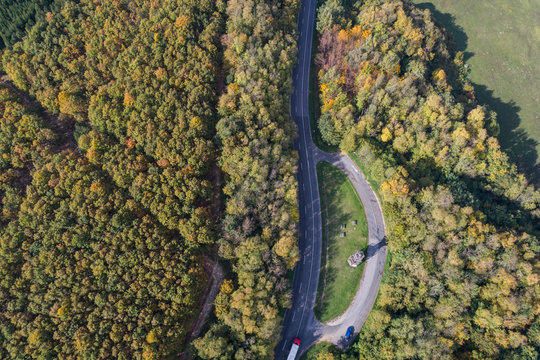 road through the autumn forest
