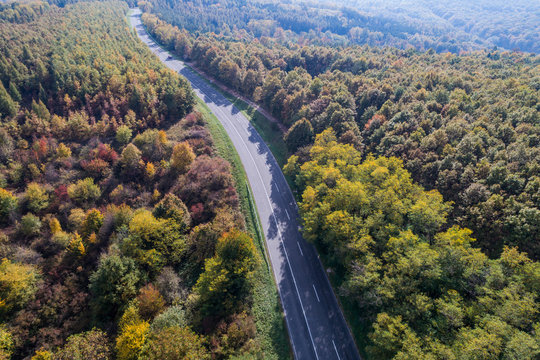 road through the autumn forest © Csák István