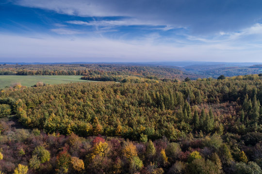 Beautiful autumn forest