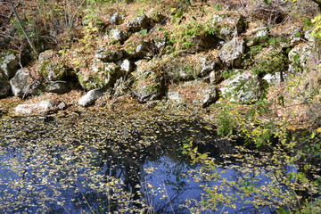 River 