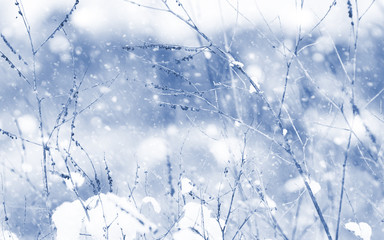 Landscape in the winter day