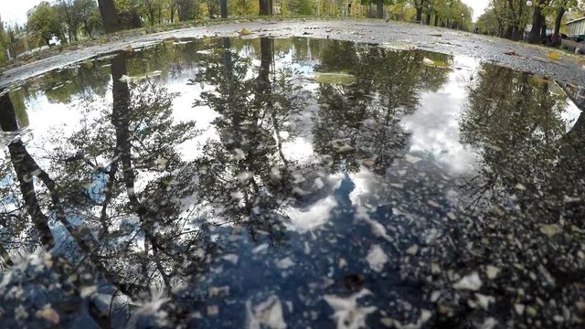 time laps of puddle in park 