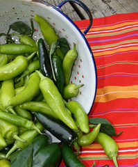 Fresh Picked Peppers