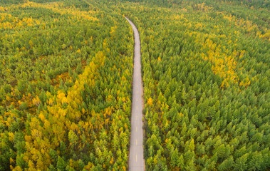 Fototapeta premium aerial shot of trail in the autumn forest landscape