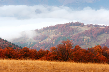 Fantastic autumn landscape