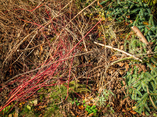 Reisigplatz im Herbst