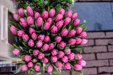 Fototapeta na wymiar tulip bouquet