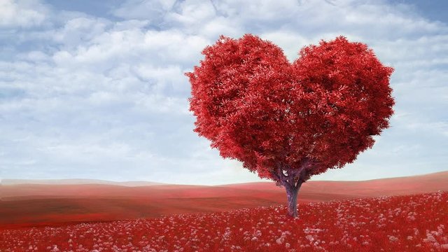 Cinemagraph of red heart shaped tree and motion background