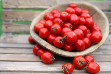 Fresh tomato crop in a wooden bowl