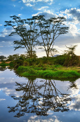 Obraz na płótnie Canvas Little lake in the Serengeti NP