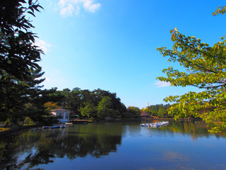 Obraz premium 千葉公園の秋色