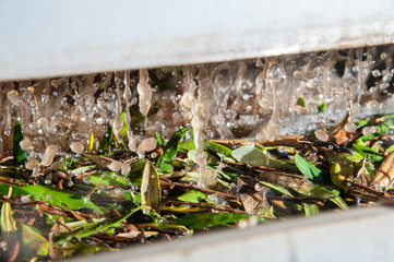 Olive washing phase: waste water of the washing process