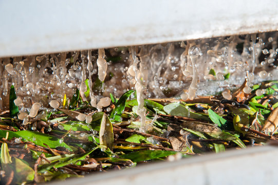 Olive washing phase: waste water of the washing process