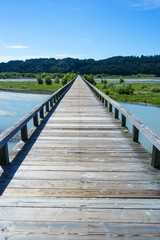 Obraz premium 蓬莱橋