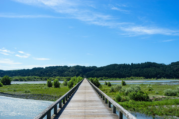 Fototapeta premium 蓬莱橋