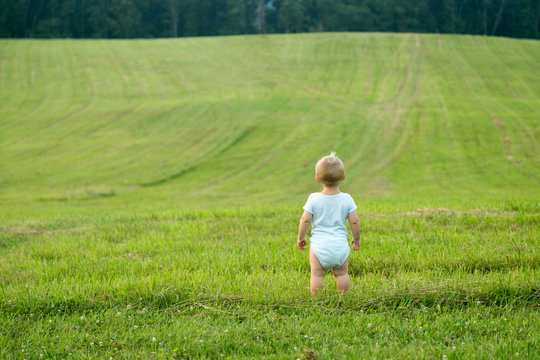Baby Boy Staring into Field / Meadow