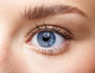 Closeup macro portrait of female face. Human woman blue eye with day beauty makeup and long natural...