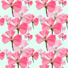 Fototapeta na wymiar Geranium, cranesbill, pelargonium. Seamless pattern texture of flowers. Floral background, photo collage