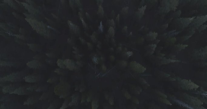 DJI_0098