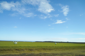 Beautiful landscape in summer,Iceland