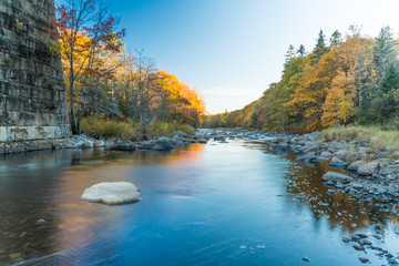 Gold River fall colours