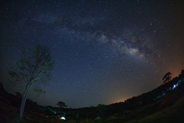 Obraz na płótnie Canvas Milky Way and silhouette of tree at Phu Hin Rong Kla National Park,Phitsanulok Thailand, Long exposure photograph.with grain