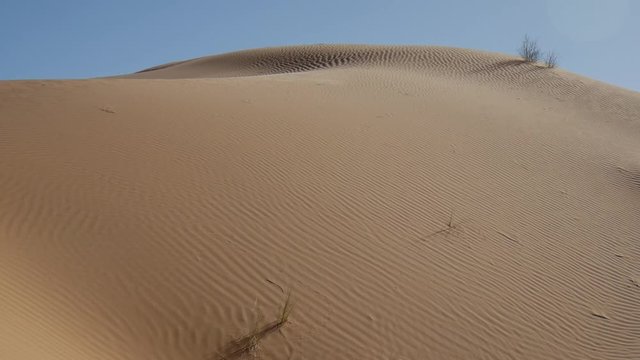 Vento sulle dune del Sahara