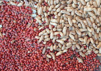 Peeled peanuts and well peanuts.