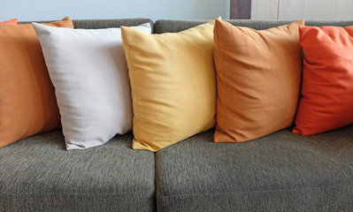 Pillows on sofa at home.