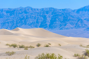 Mesquite sand dunes in desert of Death Valley, California, USA.