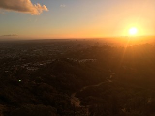 Hollywood Sunset