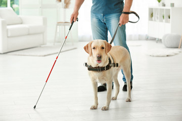 Blind man with guide dog at home