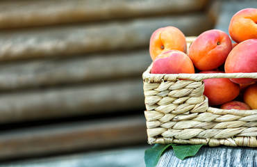 Juicy apricots in basket outdoor