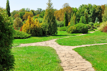 Beautiful view of green park
