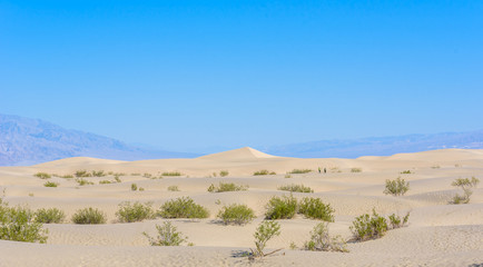 Fototapeta na wymiar Mesquite sand dunes in desert of Death Valley, California, USA.
