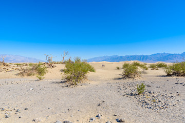Mesquite sand dunes in desert of Death Valley, California, USA.