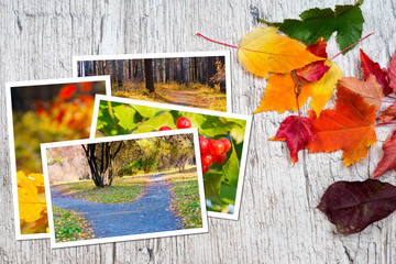 autumn postcards on wooden table