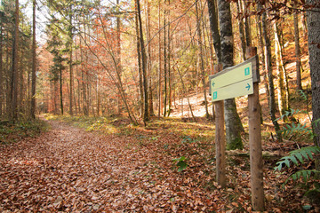 Sign post in the woods, both directions, two way
