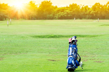 Golf clubs drivers club in bag on green grass over beautiful golf course at the sunset, sunrise time.