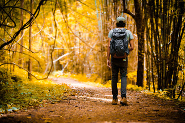Fototapeta premium Man traveler traveling walking with backpack at the jungle on holiday at weekend on background nature view