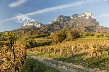 Mont Granier - Chartreuse - Isère.